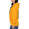 Gold Persian Garden Iran unisex hoodie with ancient Persian columns before snowy mountains design