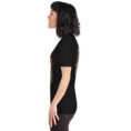Black Isfahan unisex t-shirt, with Naqsh-e Jahan Square and Ali Qapu Palace design