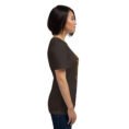 Brown Kohgiluyeh and Boyer-Ahmad unisex t-shirt, with Tang-e Balqis gorge and Mount Dena design