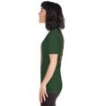 Forest Golestan unisex t-shirt, with Sasanian Great Wall of Gorgan design