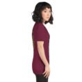 Maroon Isfahan unisex t-shirt, with Naqsh-e Jahan Square and Ali Qapu Palace design